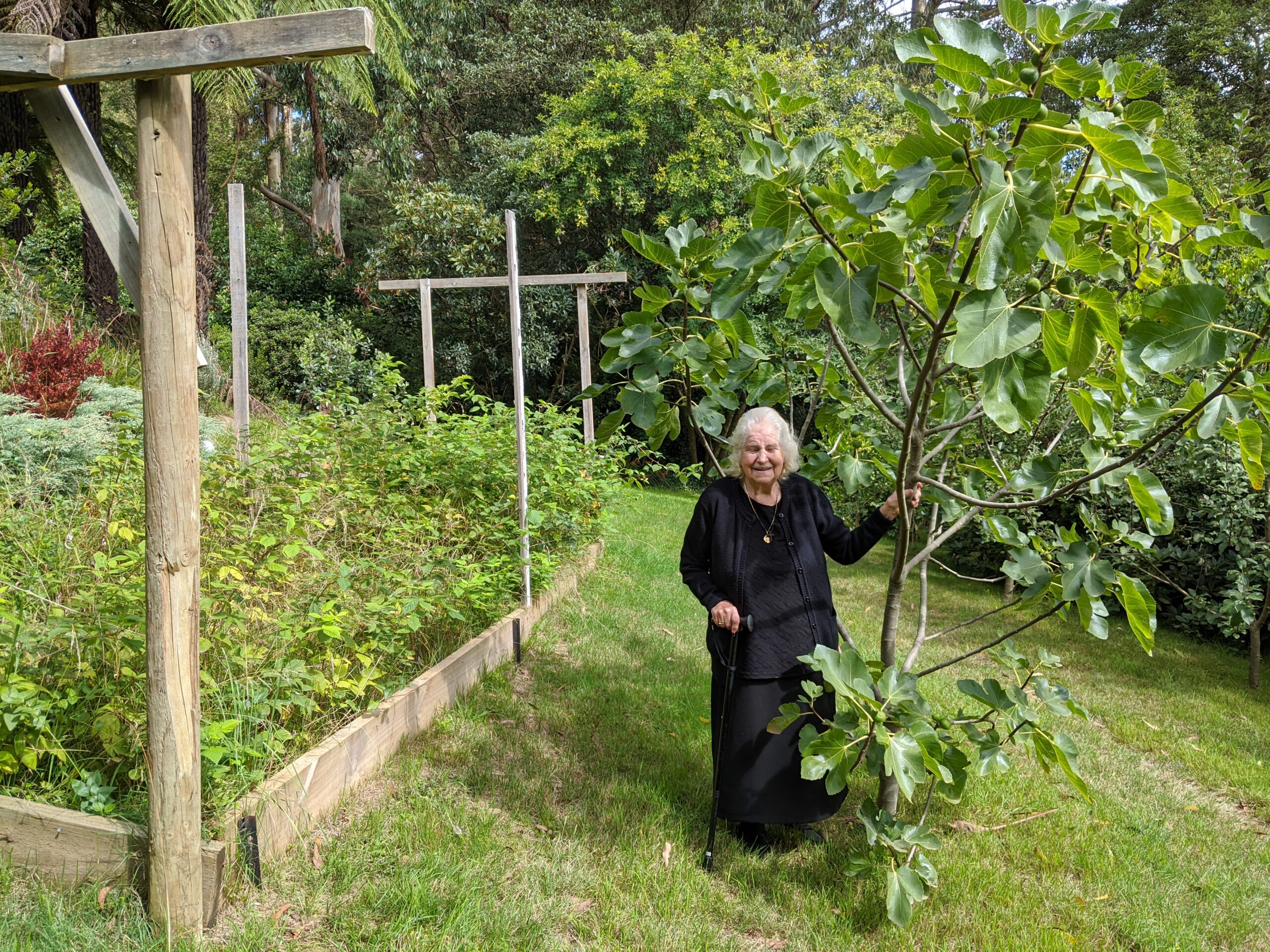 An older lady in a garden beside a veggie bed and trees