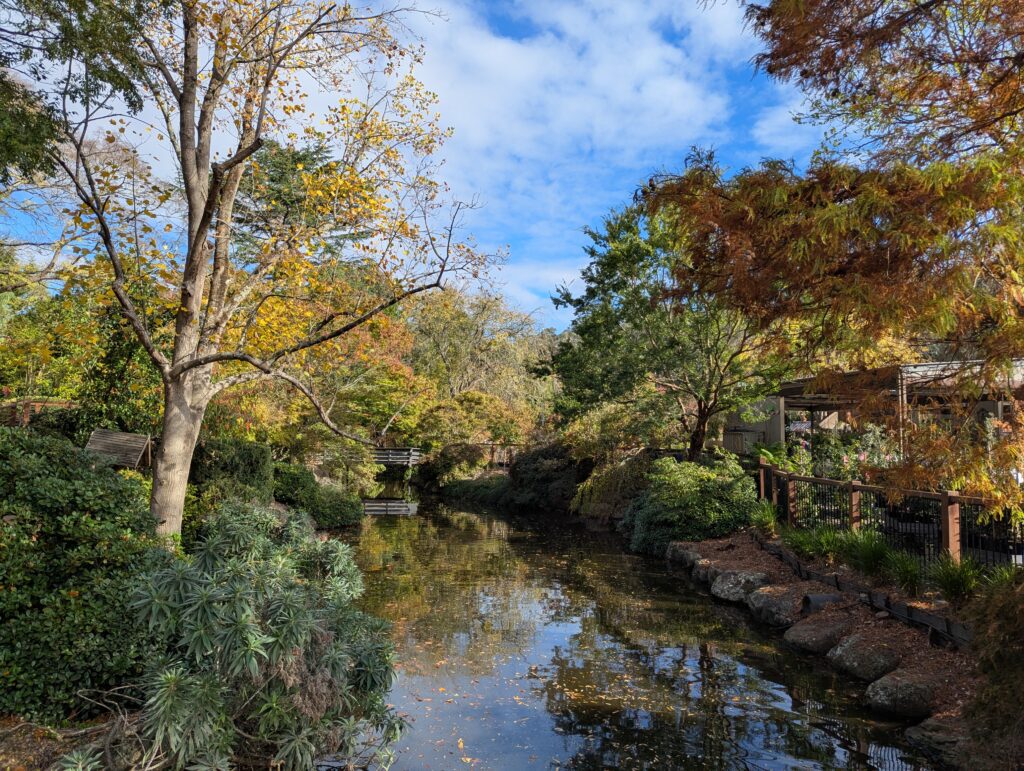 The river surrounded by autumn trees