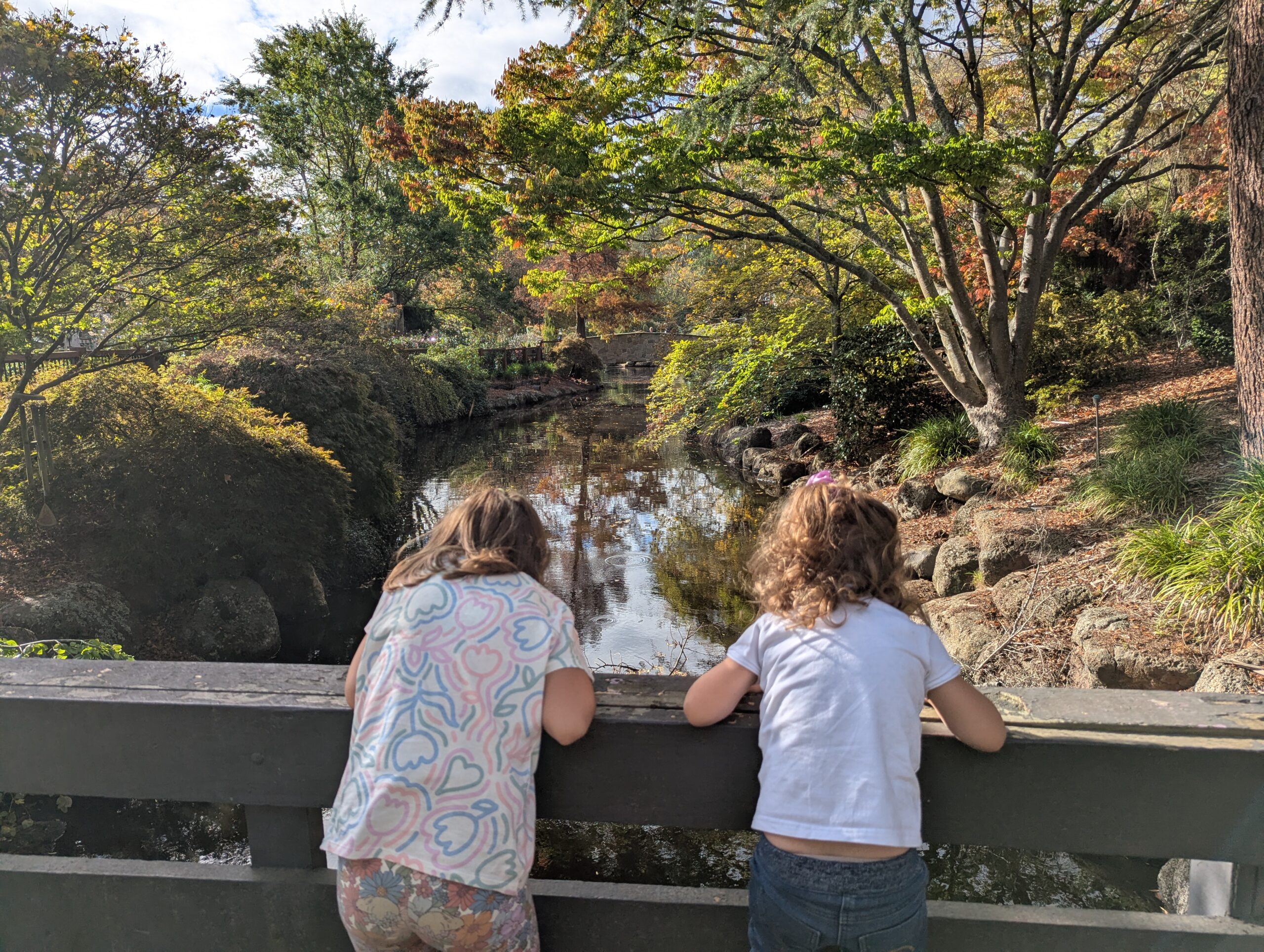 Two kids overlooking the river surrounded by trees