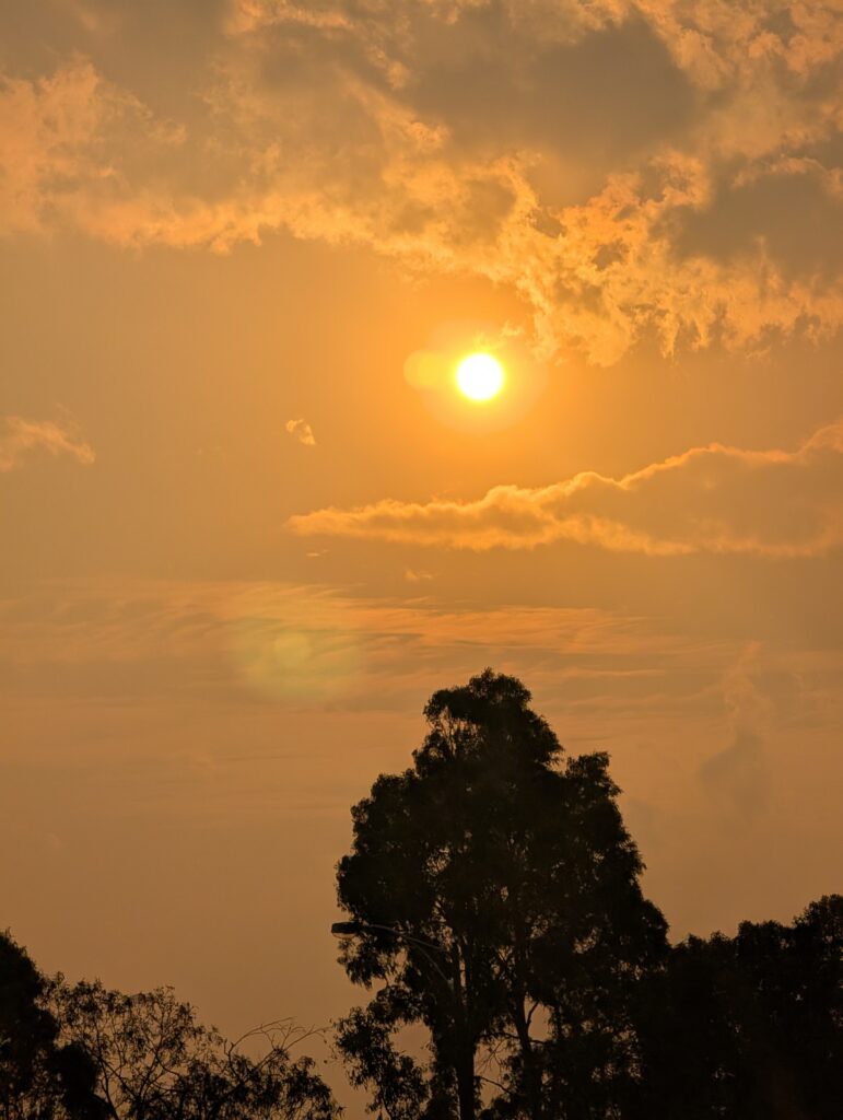 The sun lighting up the sky