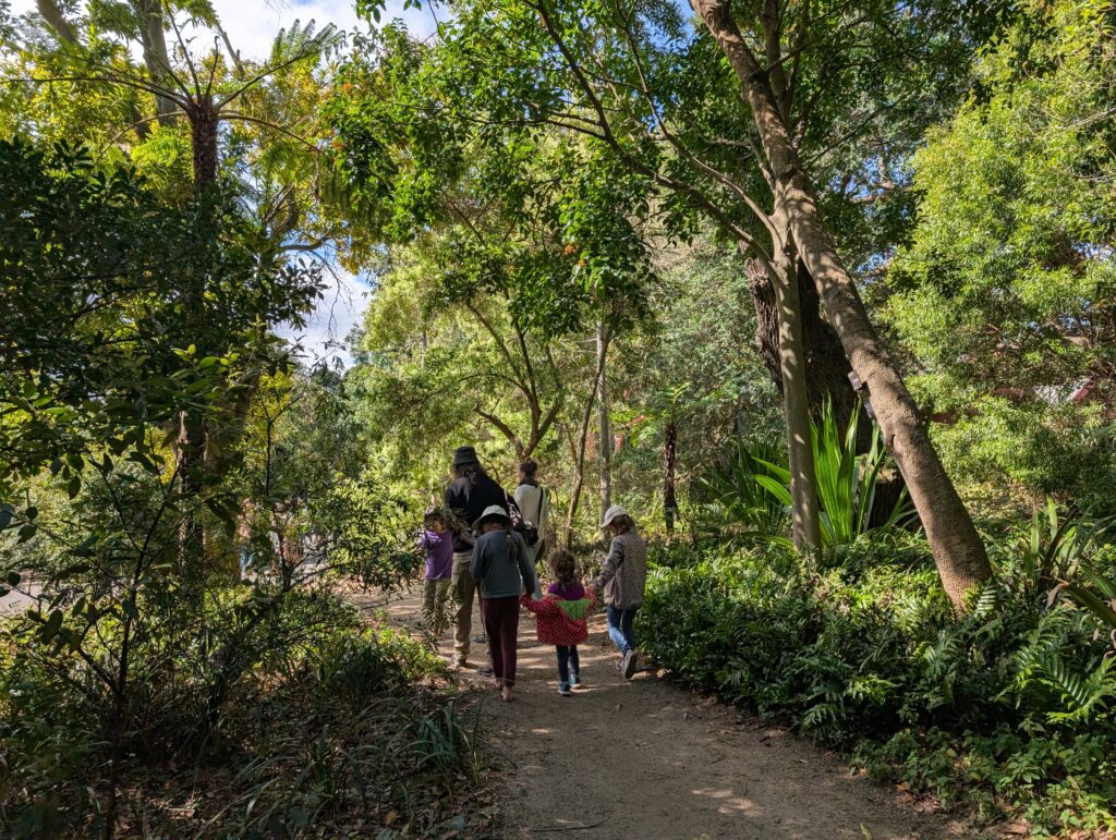 Homeschooling kids walking together in nature surrounded by trees
