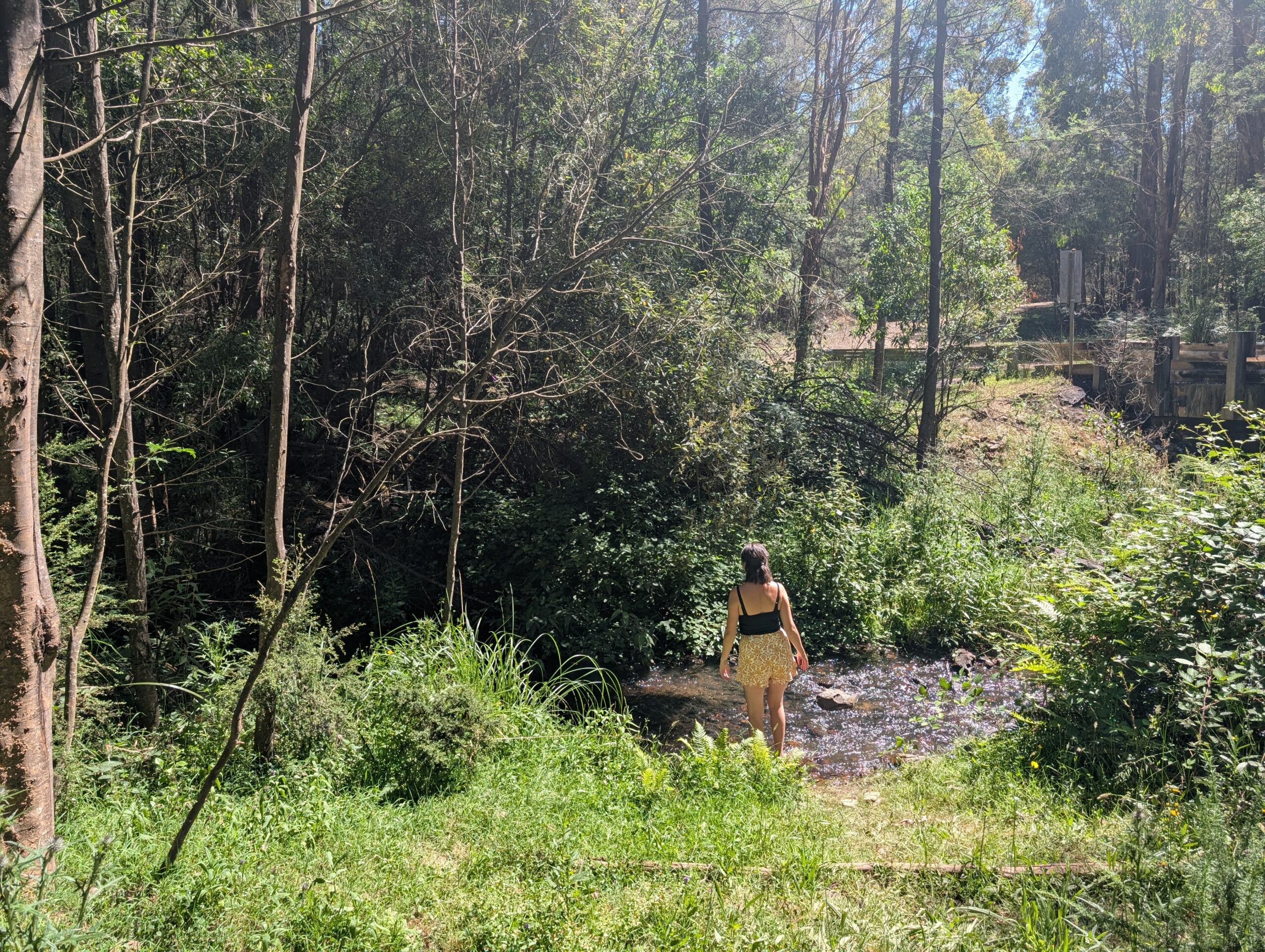 Jeneile in the forest walking to the creek