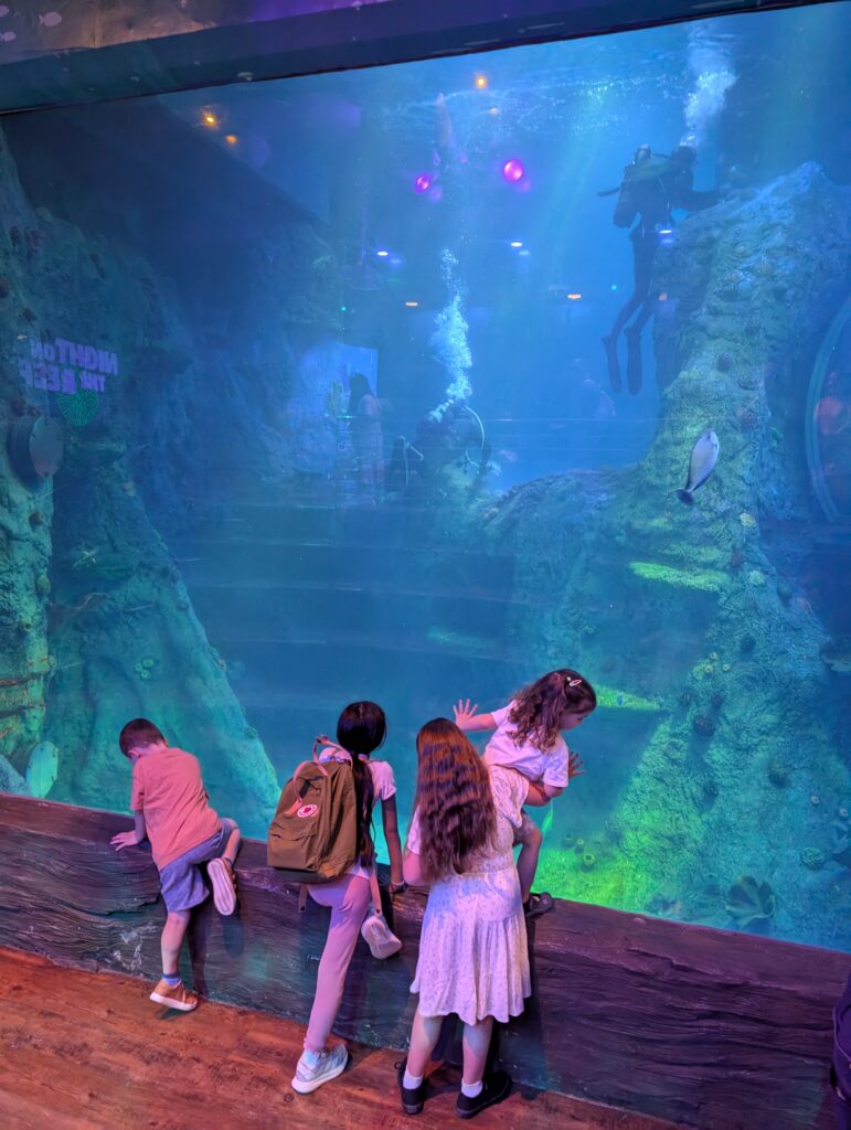 Homeschool children at the aquarium looking at fish