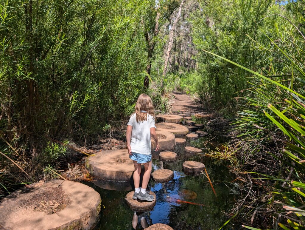 Child log hopping on a walk near Mammoth Cave in Boranup, Western Australia