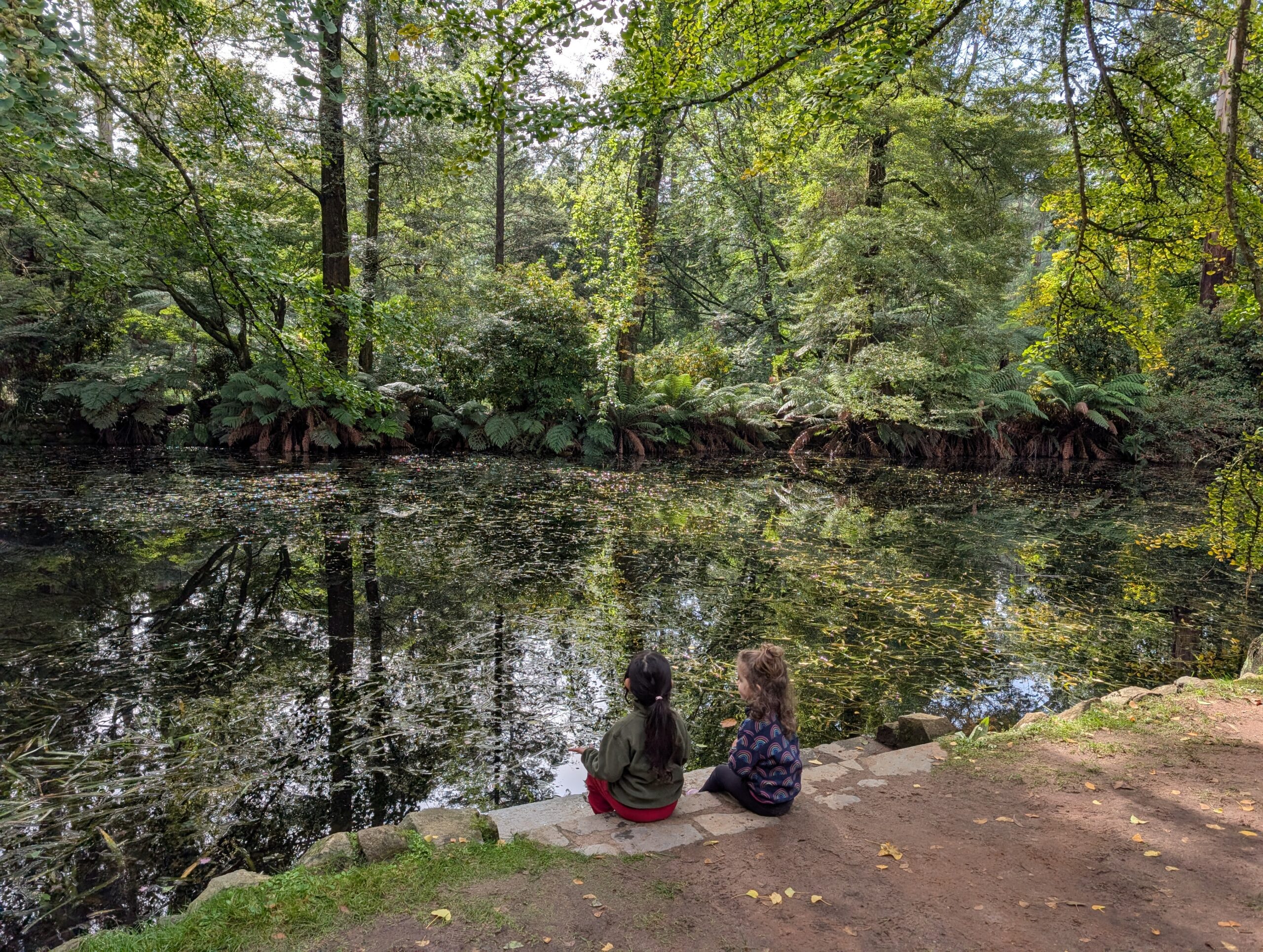 Two kids sitting by a beautiful lake in the forest with autumn trees