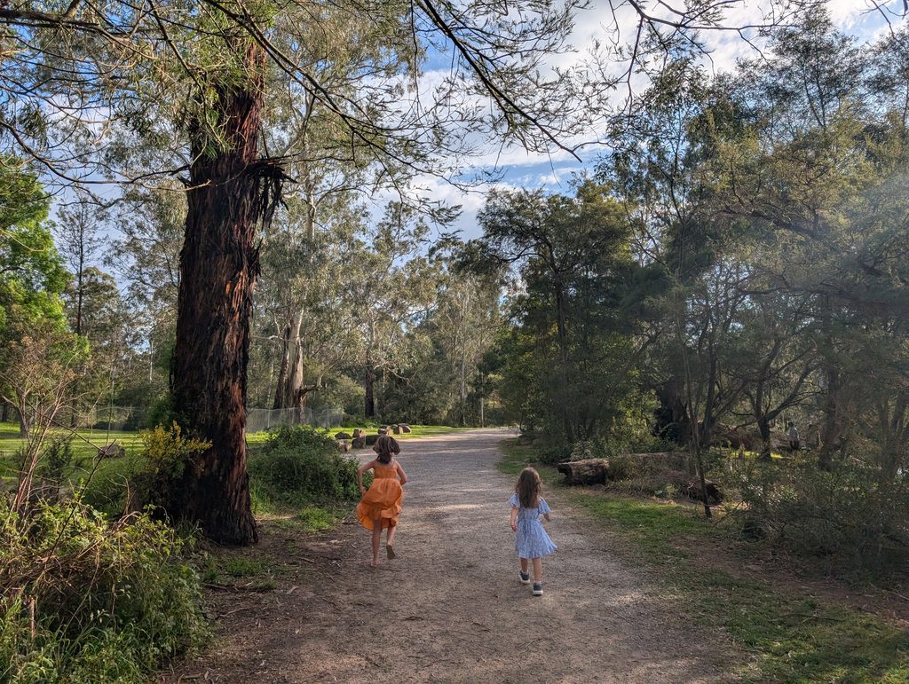 girls running in the forest surrounded by trees and blue sky