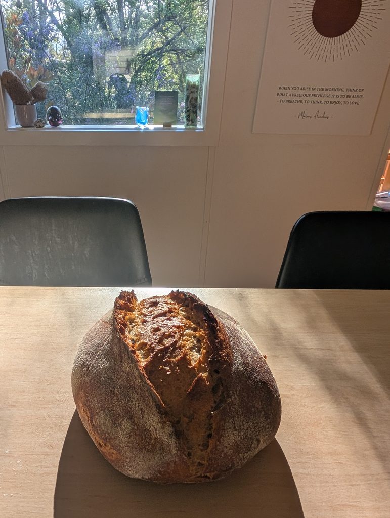 Sourdough on the kitchen bench with sunshine coming through the window